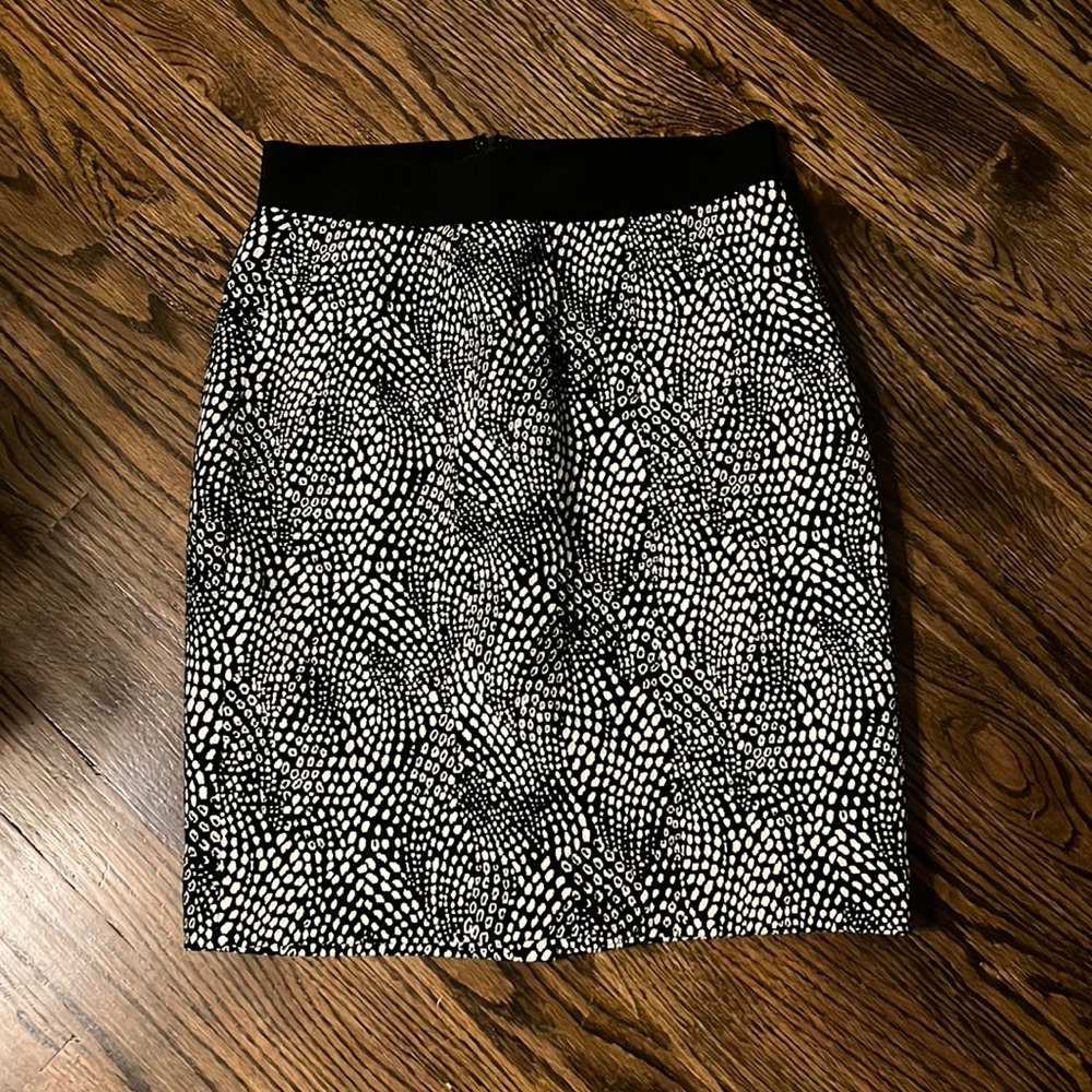 Ann Taylor skirt
